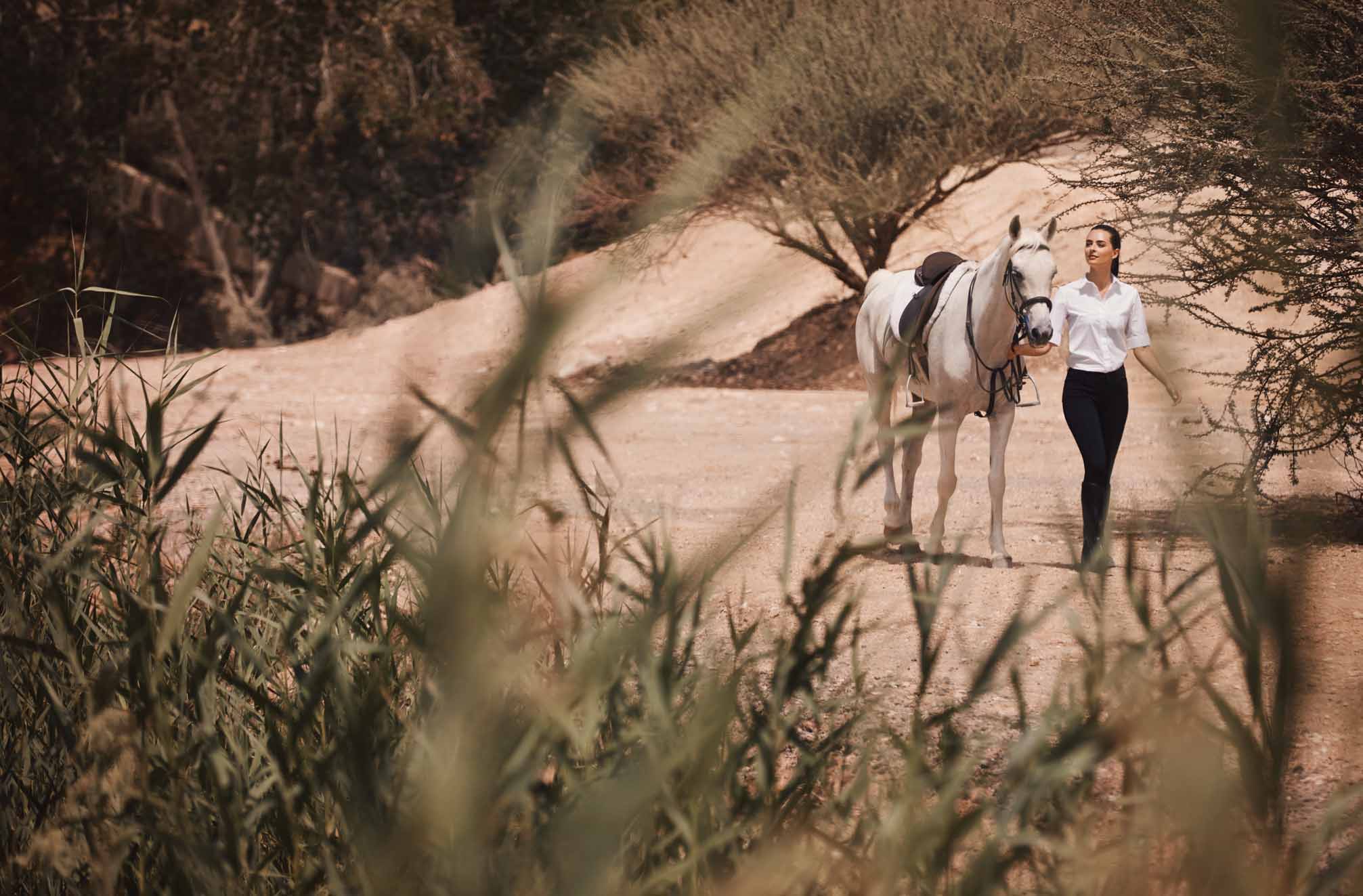 Al_Ghadeer_Phase_2 3